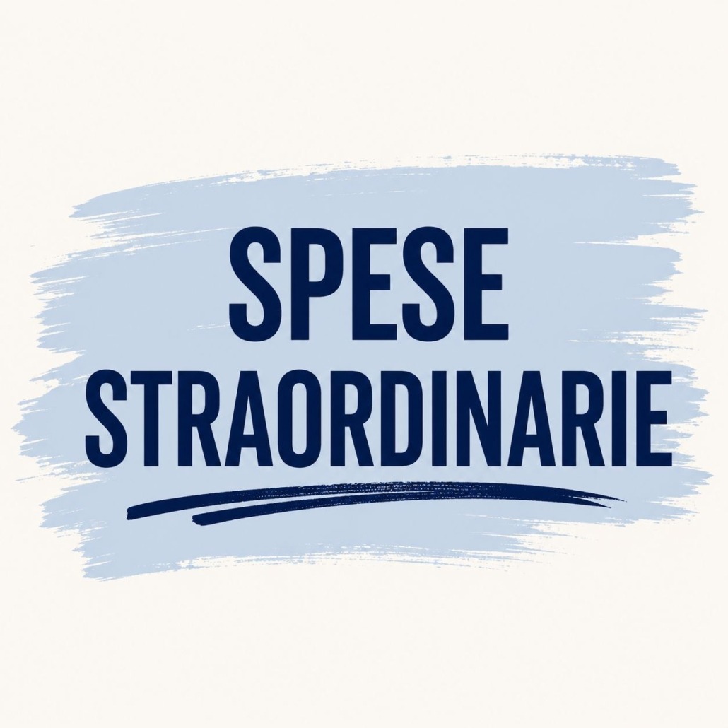 spese straordinarie