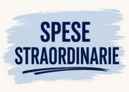 spese straordinarie