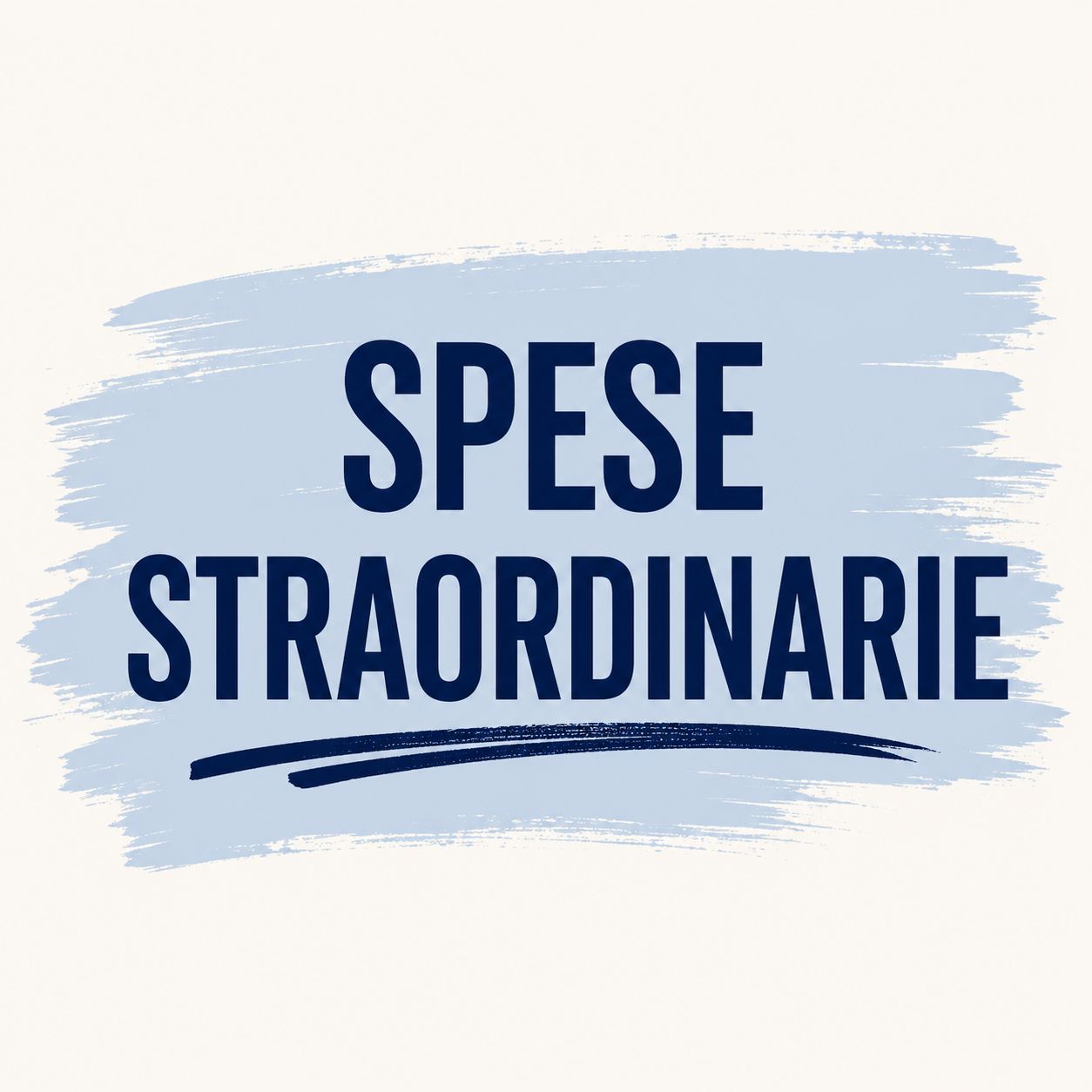 spese straordinarie